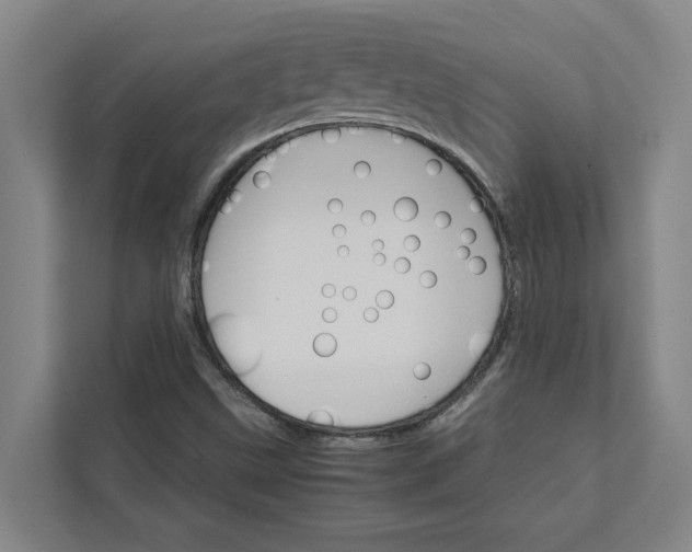 X0000111931499200908101131