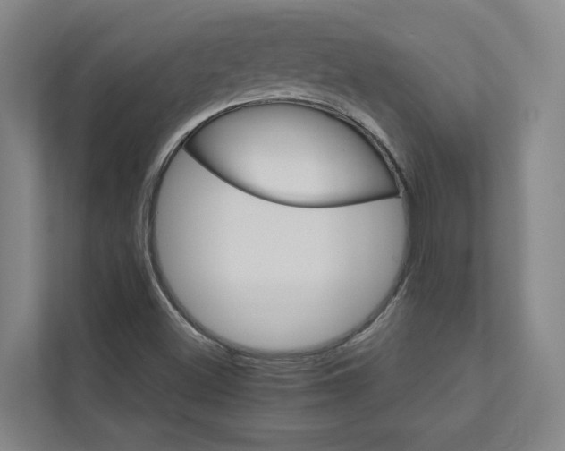 X0000111931500200908101131