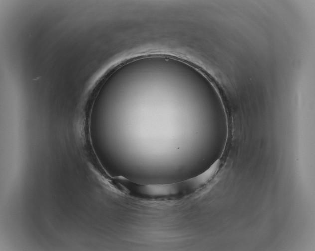 X0000111931502200908101131