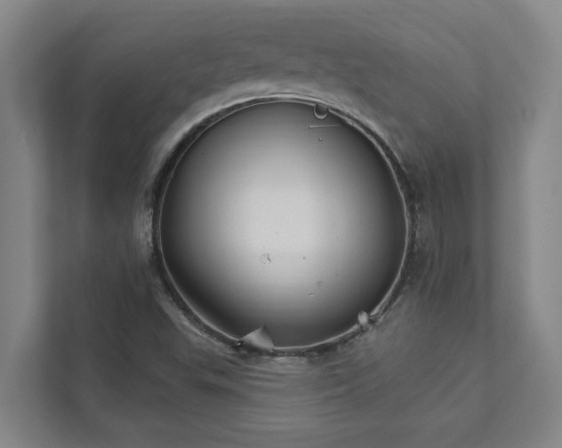 X0000111931503200908101131