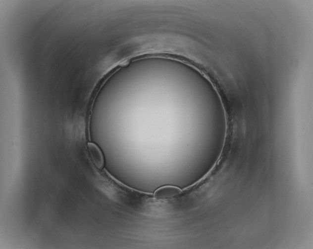 X0000111931505200908101131