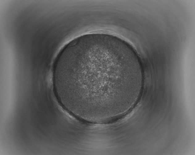 X0000111931506200908101131