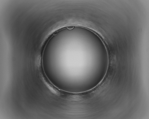 X0000111931507200908101131