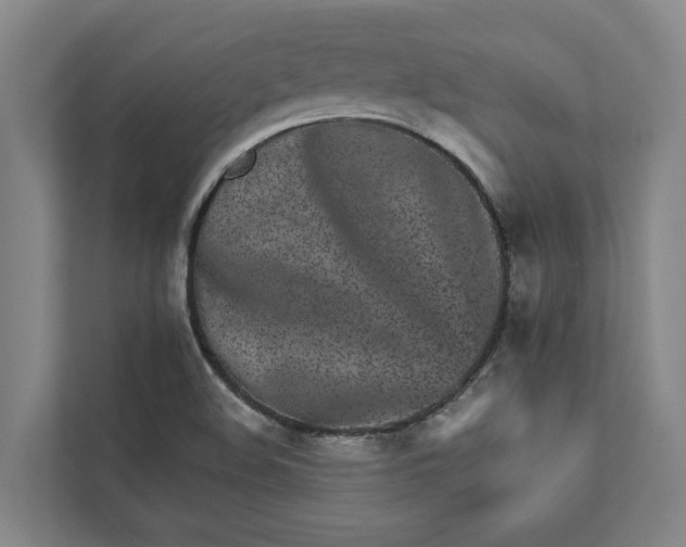 X0000111931508200908101131