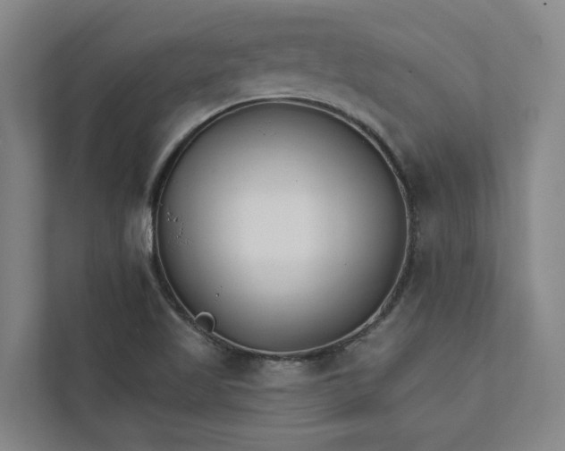 X0000111931509200908101131