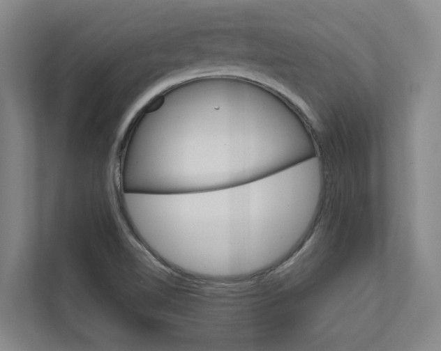 X0000111931510200908101131