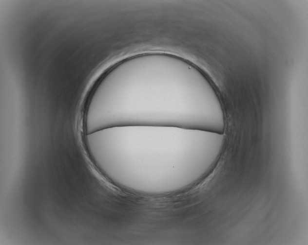 X0000111931511200908101131