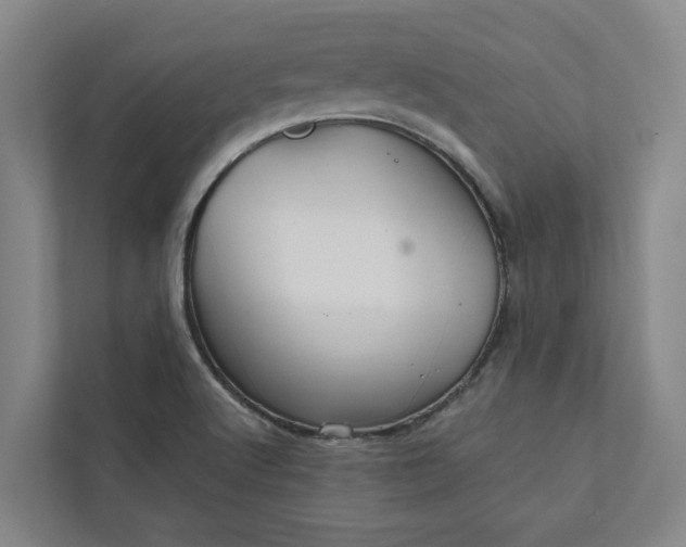 X0000111931512200908101131