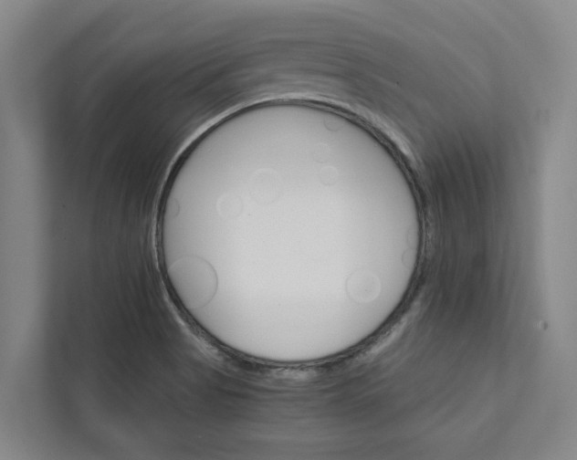 X0000111931513200908101131