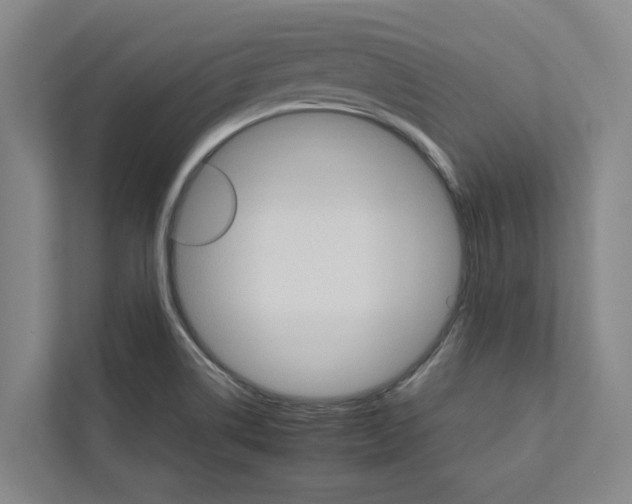 X0000111931514200908101131