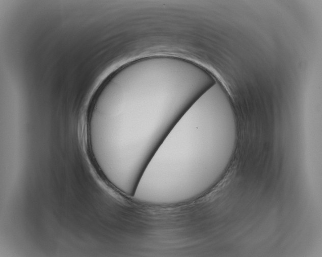 X0000111931515200908101131