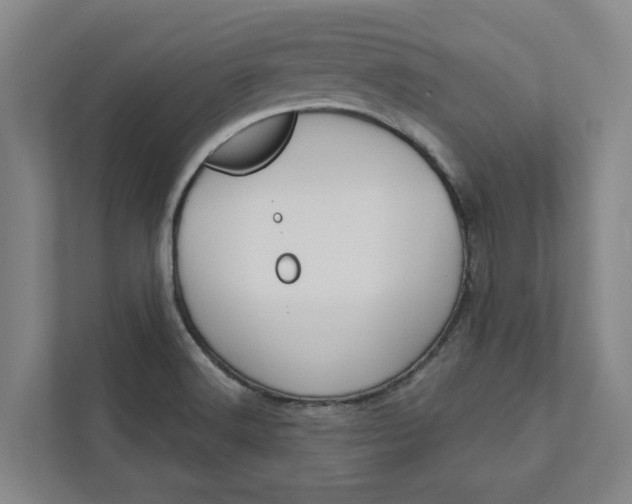 X0000111931516200908101131