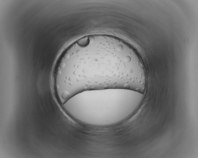 X0000111931517200908101131