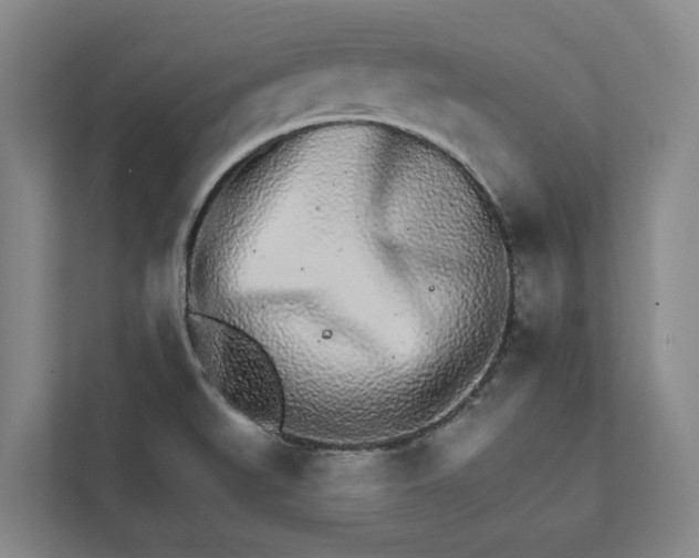 X0000111931519200908101131