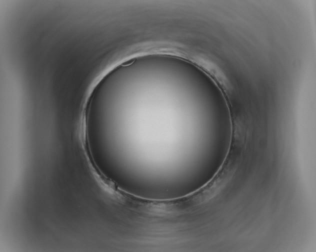 X0000111931520200908101131