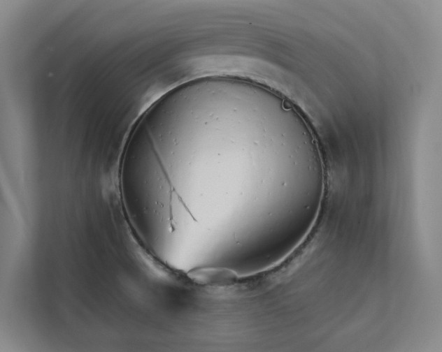 X0000111931521200908101131