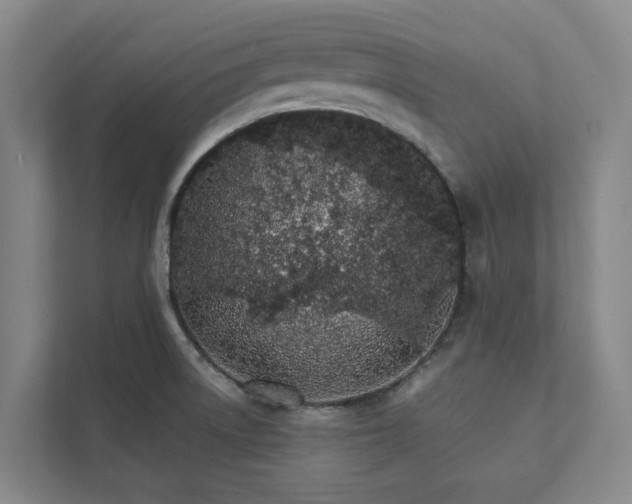 X0000111931522200908101131