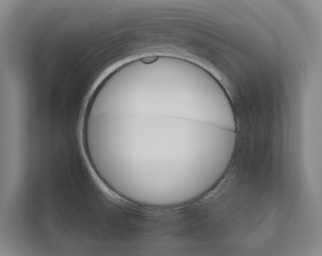 X0000111931523200908101131