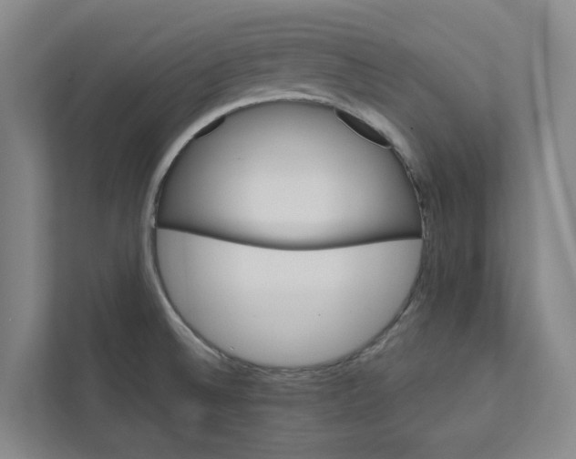 X0000111931524200908101131