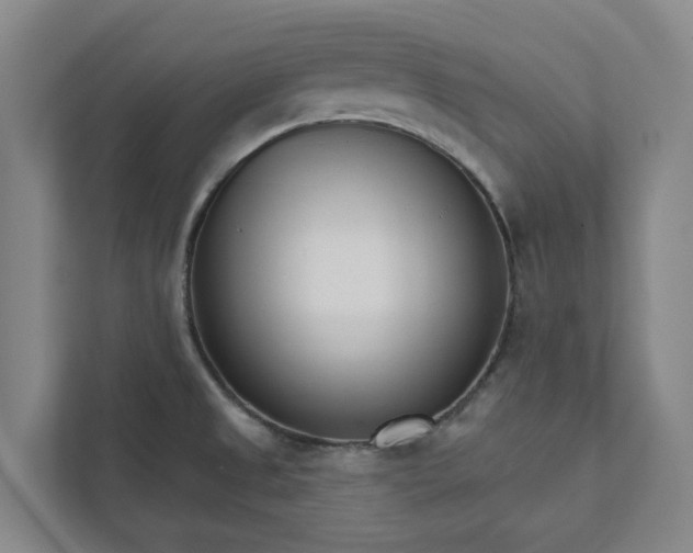 X0000111931525200908101131