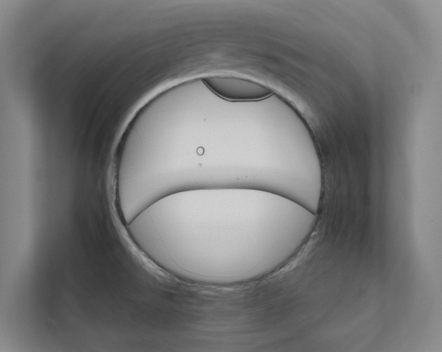 X0000111931526200908101131