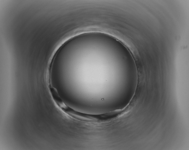 X0000111931527200908101132