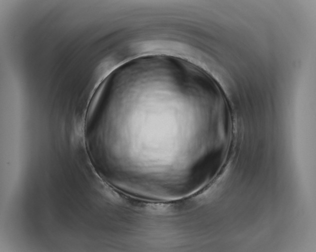 X0000111931529200908101132