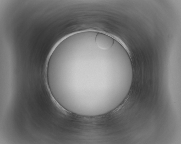 X0000111931532200908101132