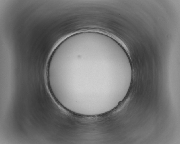 X0000111931533200908101132