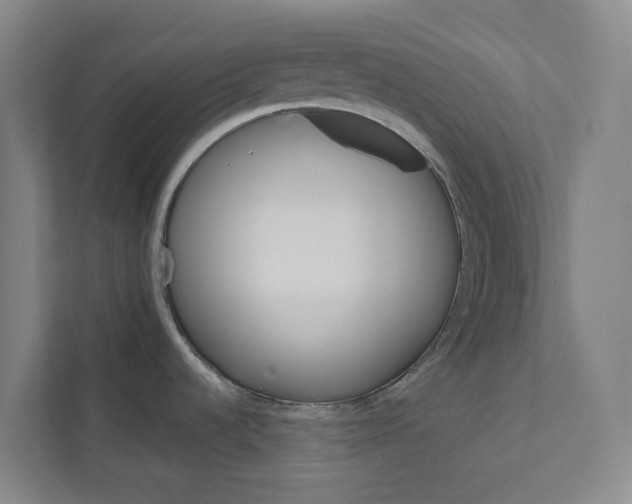 X0000111931536200908101132