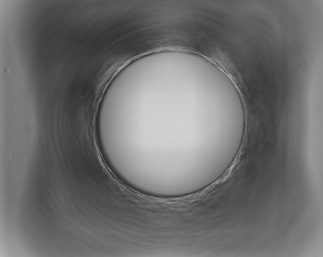 X0000111930001200908171246