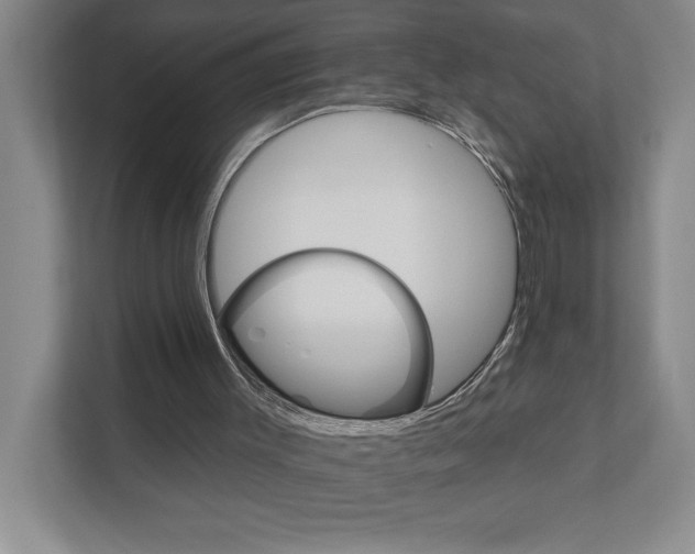 X0000111930003200908171246