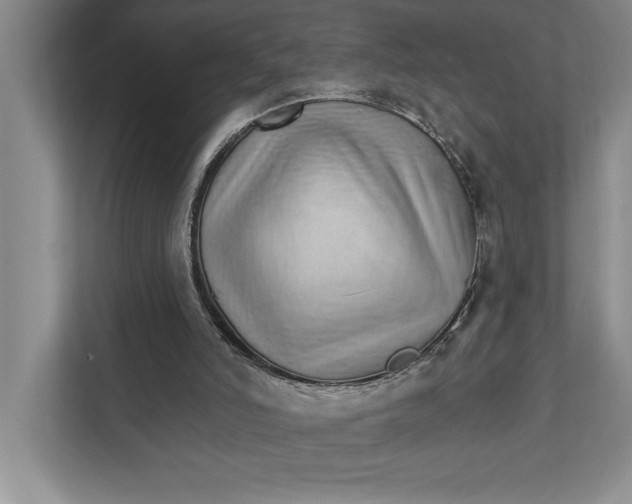 X0000111930006200908171246