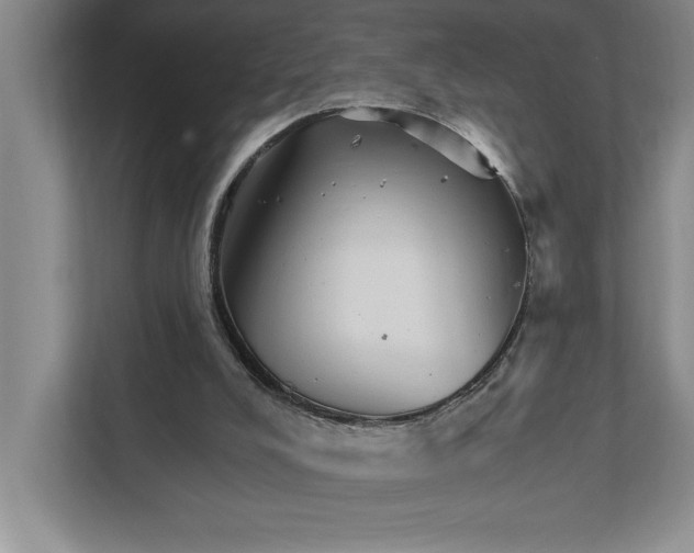 X0000111930008200908171246