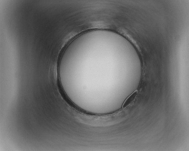 X0000111930011200908171246