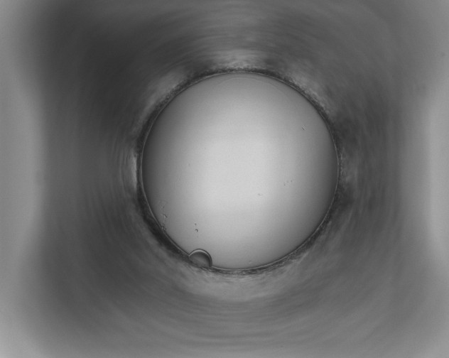 X0000111930014200908171246