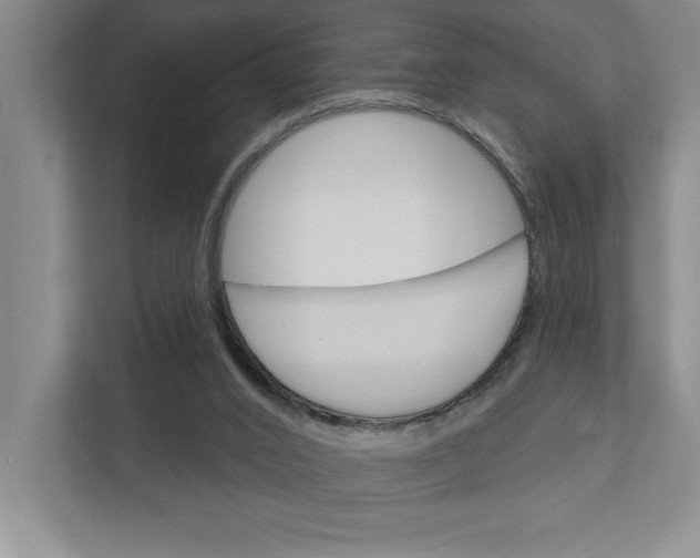 X0000111930016200908171246