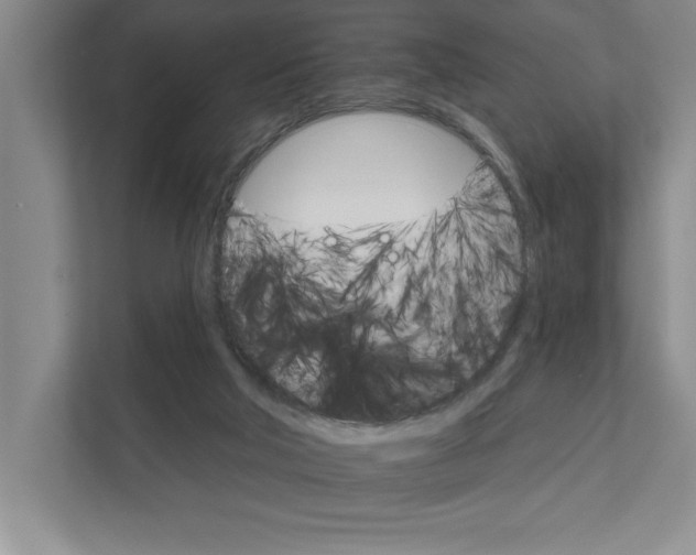 X0000111930018200908171246