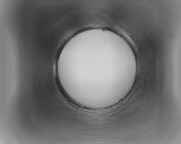 X0000111930019200908171246