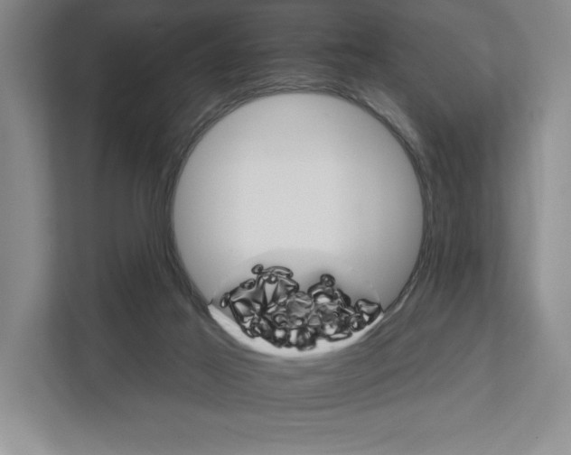 X0000111930021200908171246