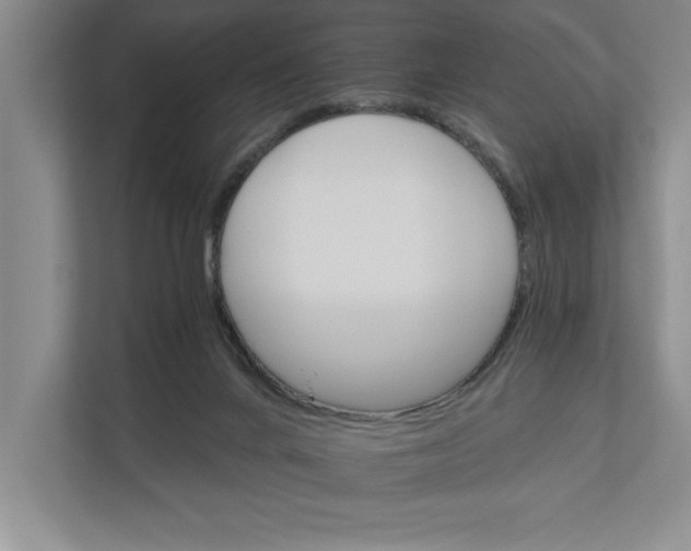 X0000111930024200908171246