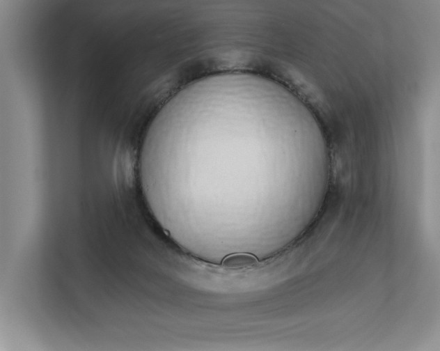 X0000111930026200908171246