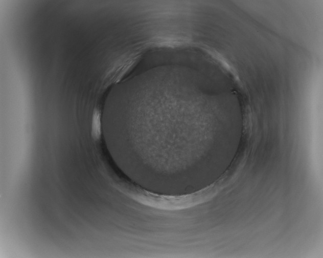 X0000111930027200908171246