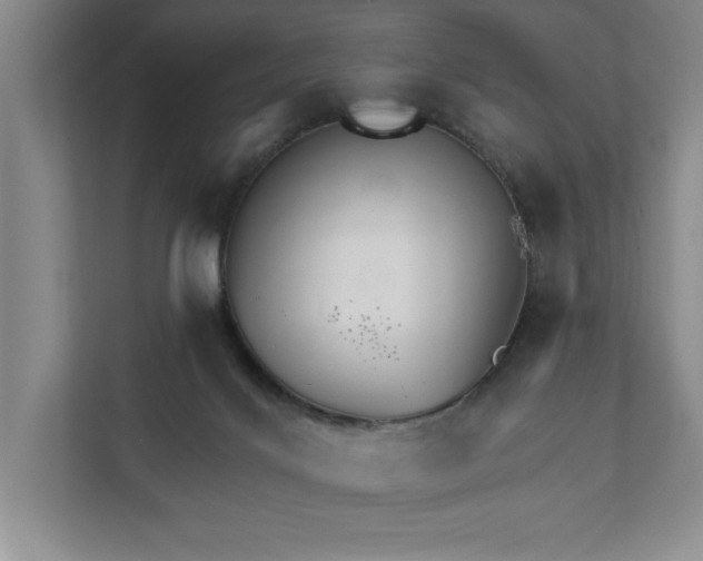 X0000111930028200908171246