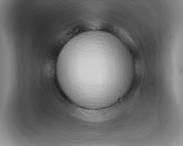 X0000111930030200908171246