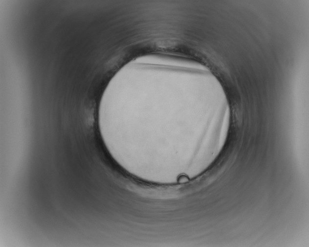 X0000111930032200908171246