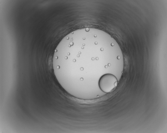 X0000111930034200908171246