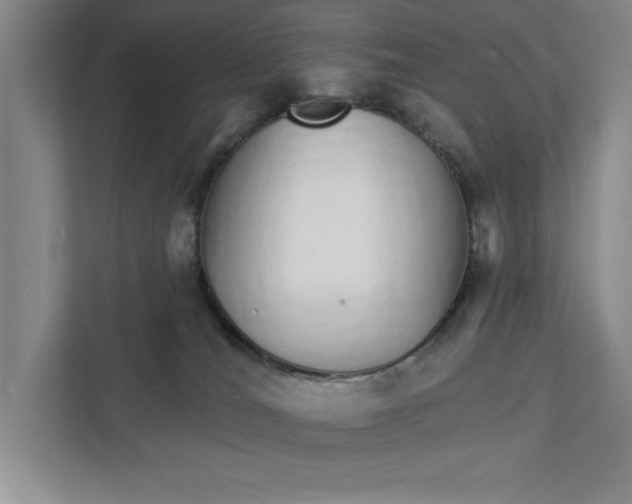 X0000111930036200908171246