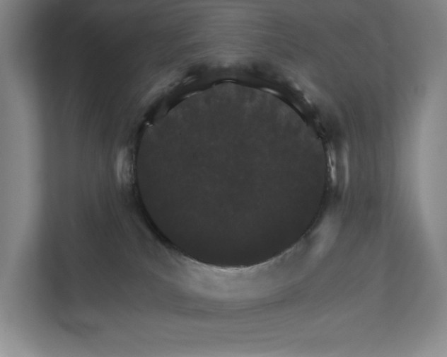 X0000111930039200908171245