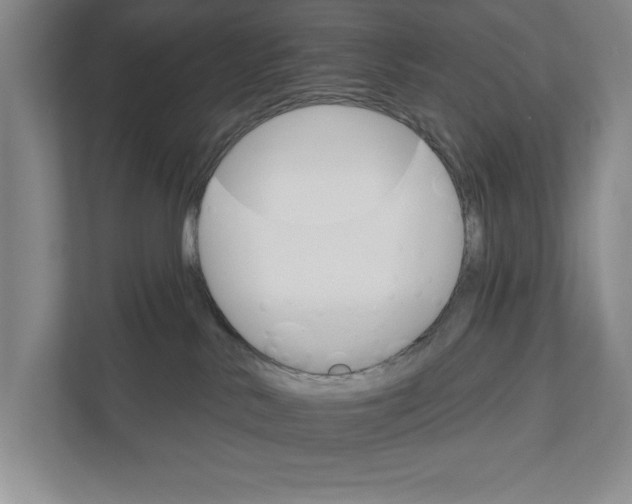 X0000111930042200908171245